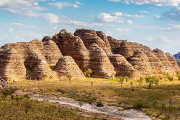 WA NT TOURS