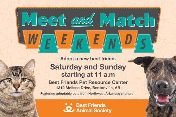 Meet & Match Weekends