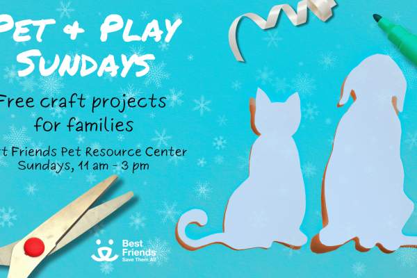 Pet & Play Sundays
