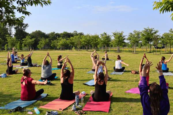Yoga Story Summer Series