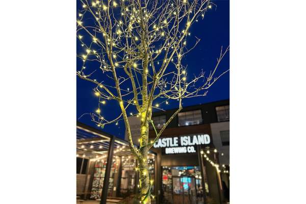 Castle Island Brewery and Bardo’s Bar Pizza
