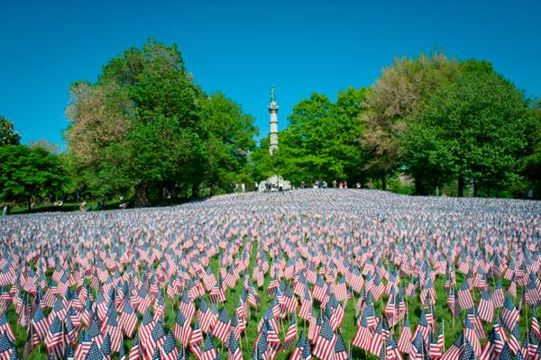 Memorial Day Flag Garden