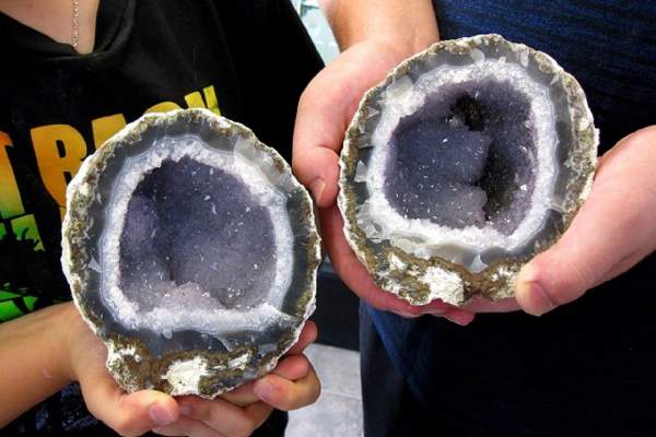 Prehistoric Fossils