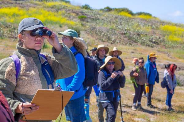 Catalina California Naturalist Course Spring 2026