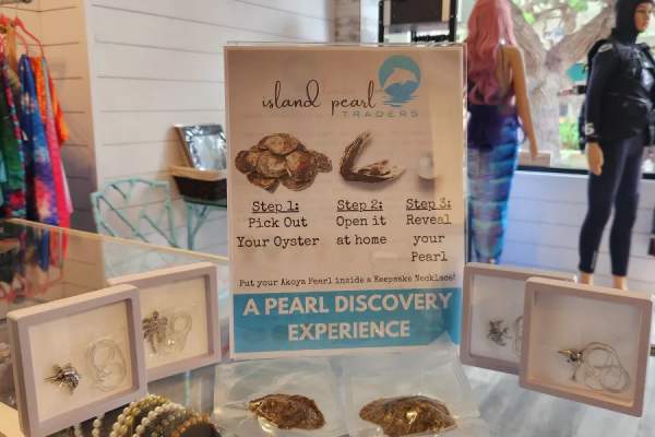 A Pearl Discovery Experience