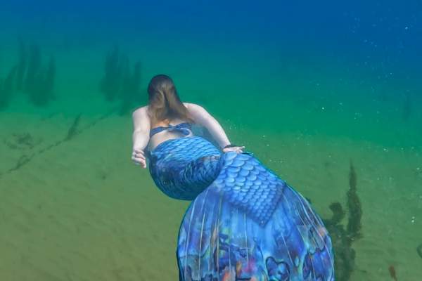 $288 (regularly $425) PADI Mermaid Class with Underwater Photoshoot included!