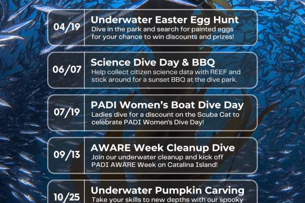PADI Women's Boat Dive Day