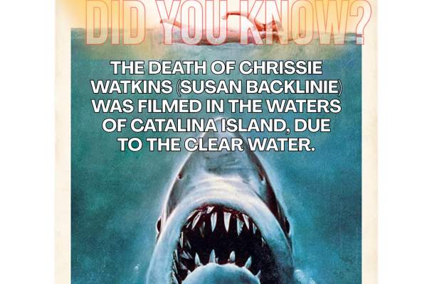 Jaws 50th Anniversary - Movies on the Beach