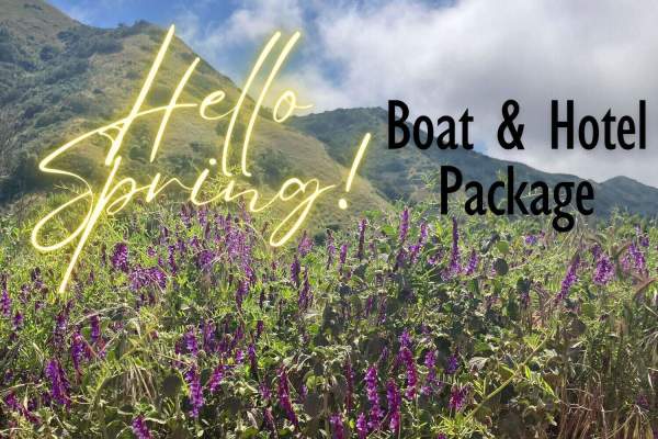 Hello Spring on Catalina! ~ Boat & Hotel Package