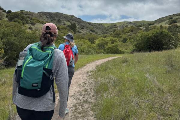 Indigenous Plant and Coastal Ecology Excursion