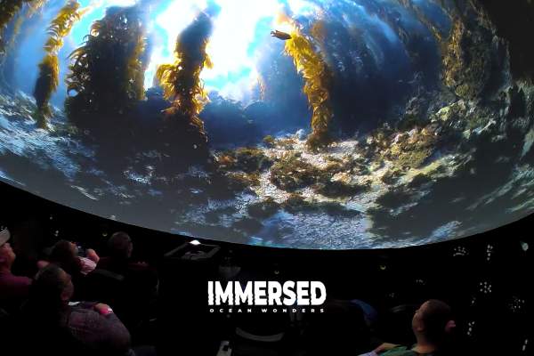 IMMERSED Winter Special!