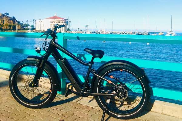 Leyva's Electric Bikes and Jeep Eco Tours