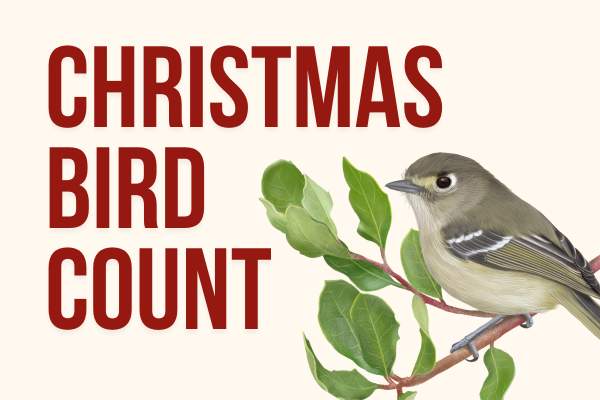 Audubon Christmas Bird Count