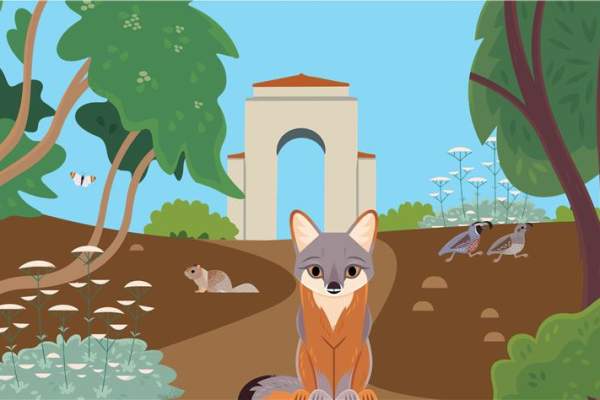 Spring in the Garden