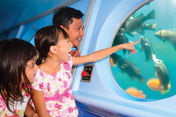 $5 Off Yellow Semi-Submarine Tour
