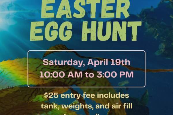 Underwater Easter Egg Hunt