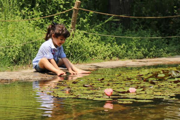 Summer Discovery Program:  Life in a Pond!
