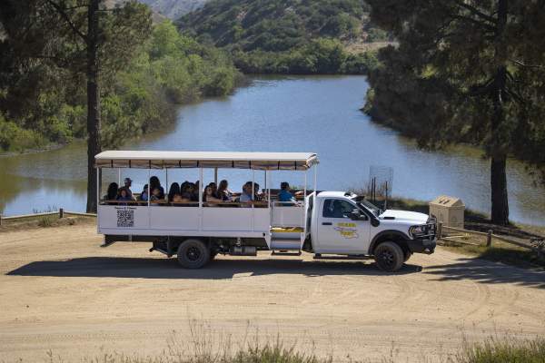$5 Off Inside Adventure 2 Hour Tour Or Best Of Avalon City Tour