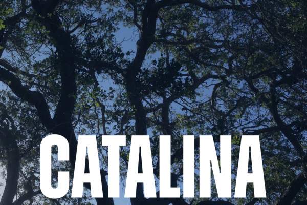 Catalina Speaker Series: Protecting and Restoring Catalina’s Amazing Oak Ecosystem