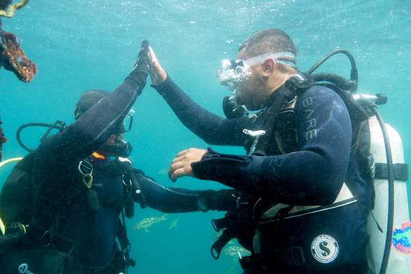 Learn to dive on Catalina Island