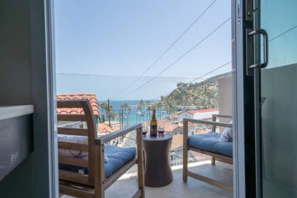 Authentic Catalina Adventure