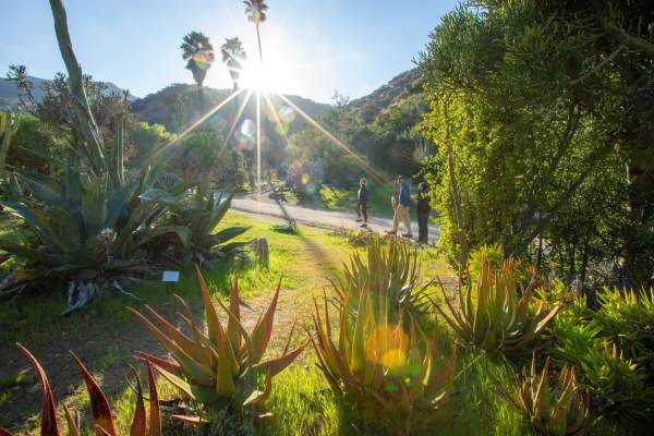Holiday Garden Gathering