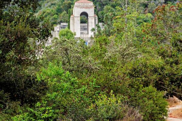 Meditation in the Garden: Summer Wellness Series