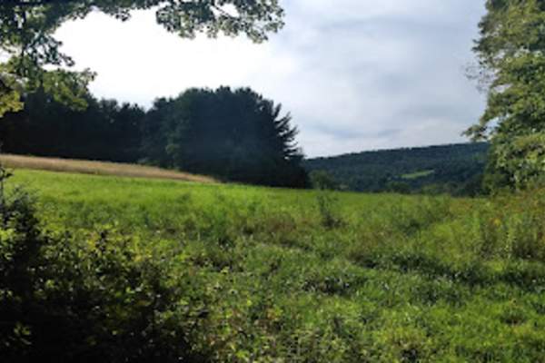 Maple Hill State Forest