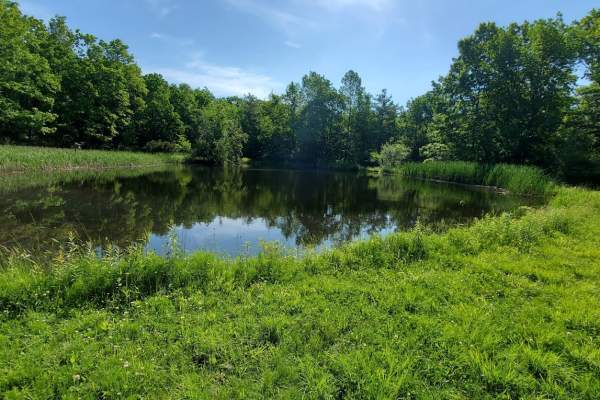 Steege Hill Nature Preserve