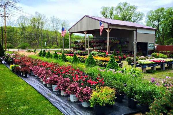 Turk's Produce & Flower Market