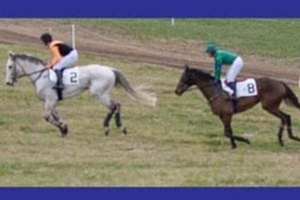 Cheshire Point to Point