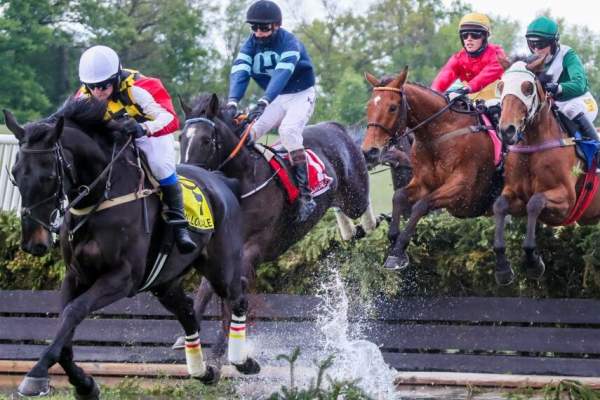 30th Annual Willowdale Steeplechase