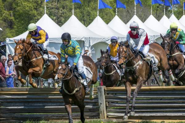 Winterthur Point to Point Steeplechase
