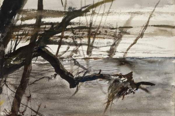 Abstract Flash: Unseen Andrew Wyeth