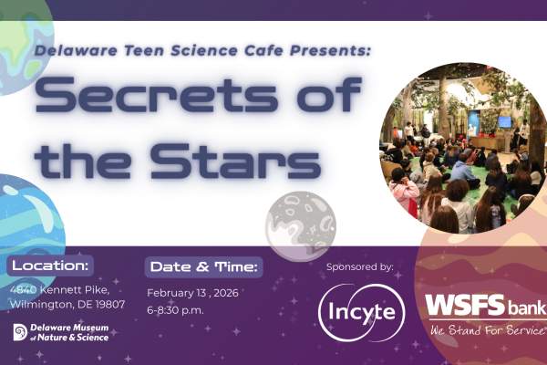 Delaware Teen Science Café: Secrets of the Stars