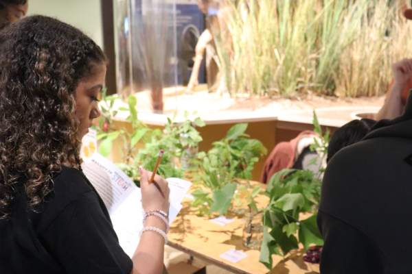 International Day of Women and Girls in Science