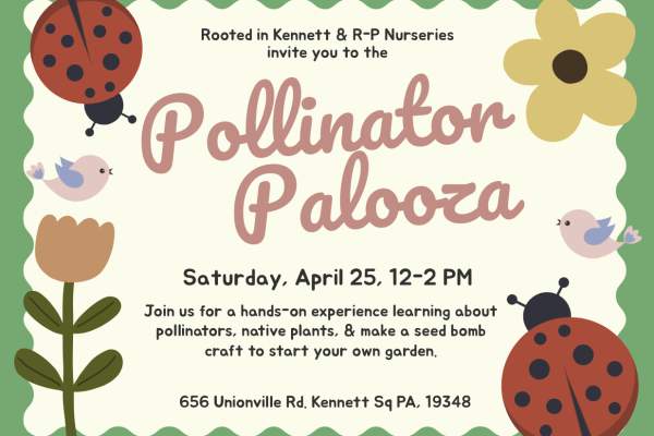 Pollinator Palooza