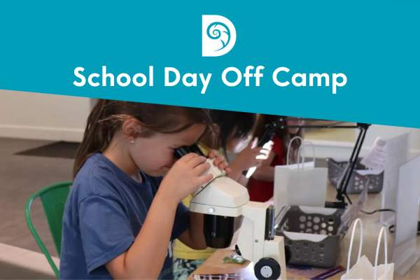 School Day Off Camp