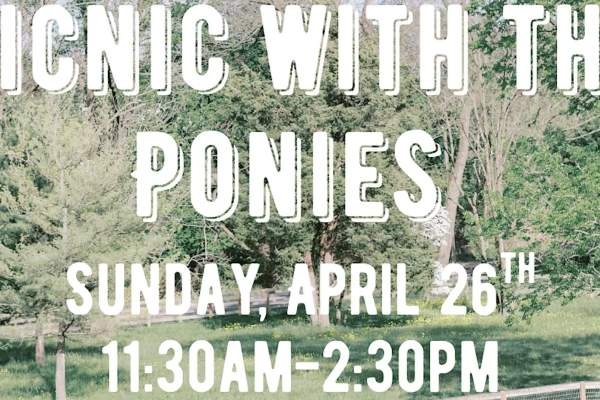 Picnic with the Ponies