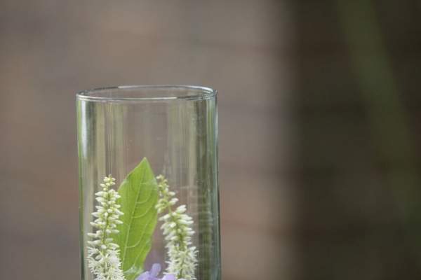 Go Native with Infused Vodkas