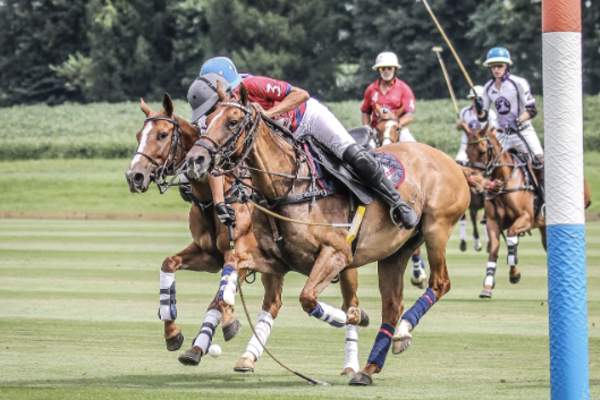 Friday Sunset Polo