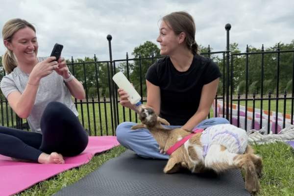 Baby Goat Bah, Sip & Play