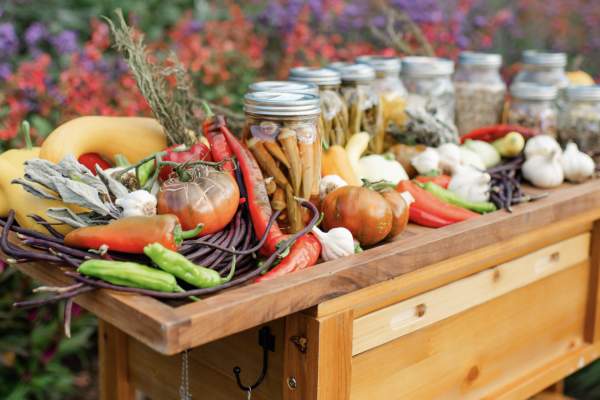 1906 Gardener and Chef Experience