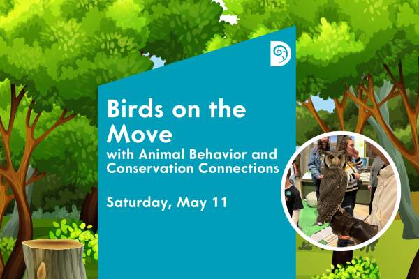 Birds on the Move, with Animal Behavior & Conservation Connections