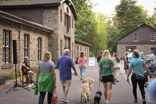 Summer Nights at Hagley