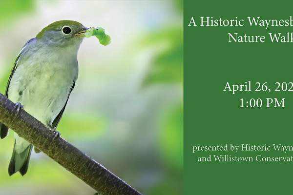 A Historic Waynesborough Nature Walk