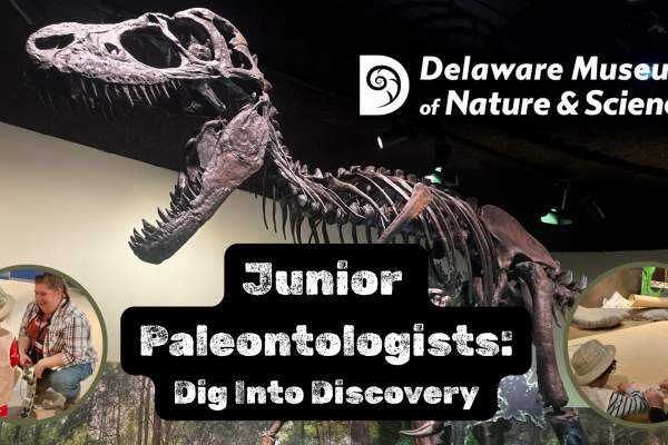 Junior Paleontologists: Dig Into Discovery
