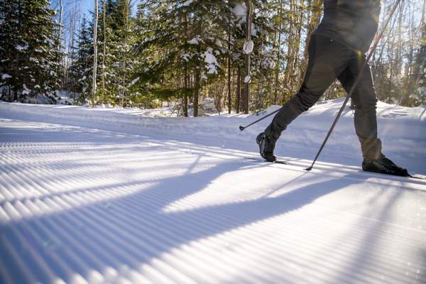 Pincushion Mountain Ski Trails