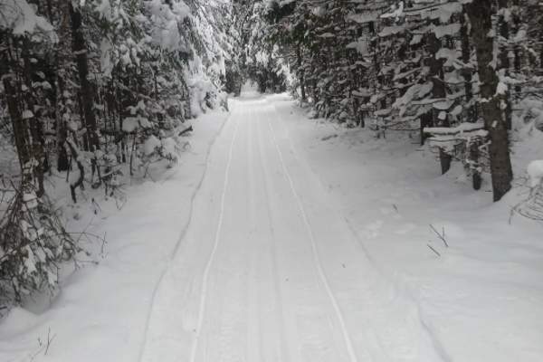 Banadad Ski Trail