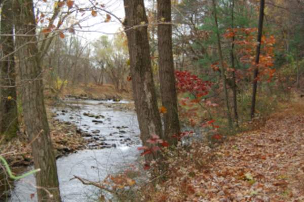 Mount Holly Marsh Preserve